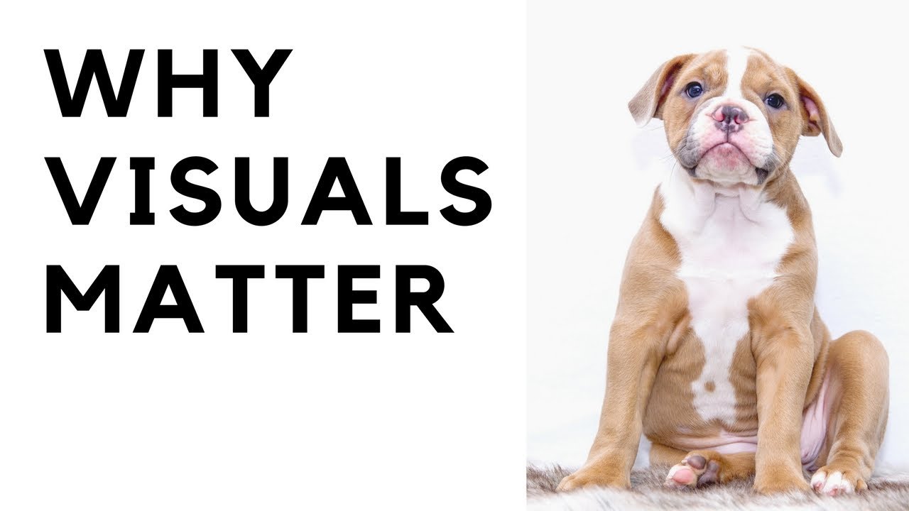 Video Series: Why Visuals Matter Online