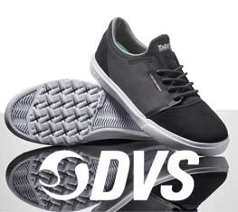 dvs