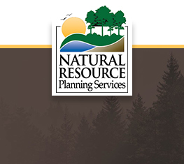 NRPS Logo