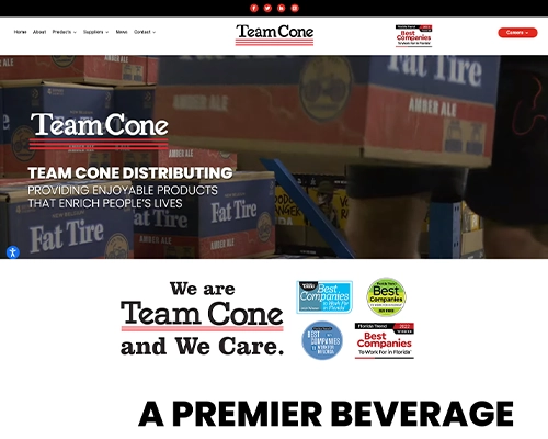 Team Cone website