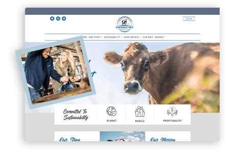 custom-web-design website