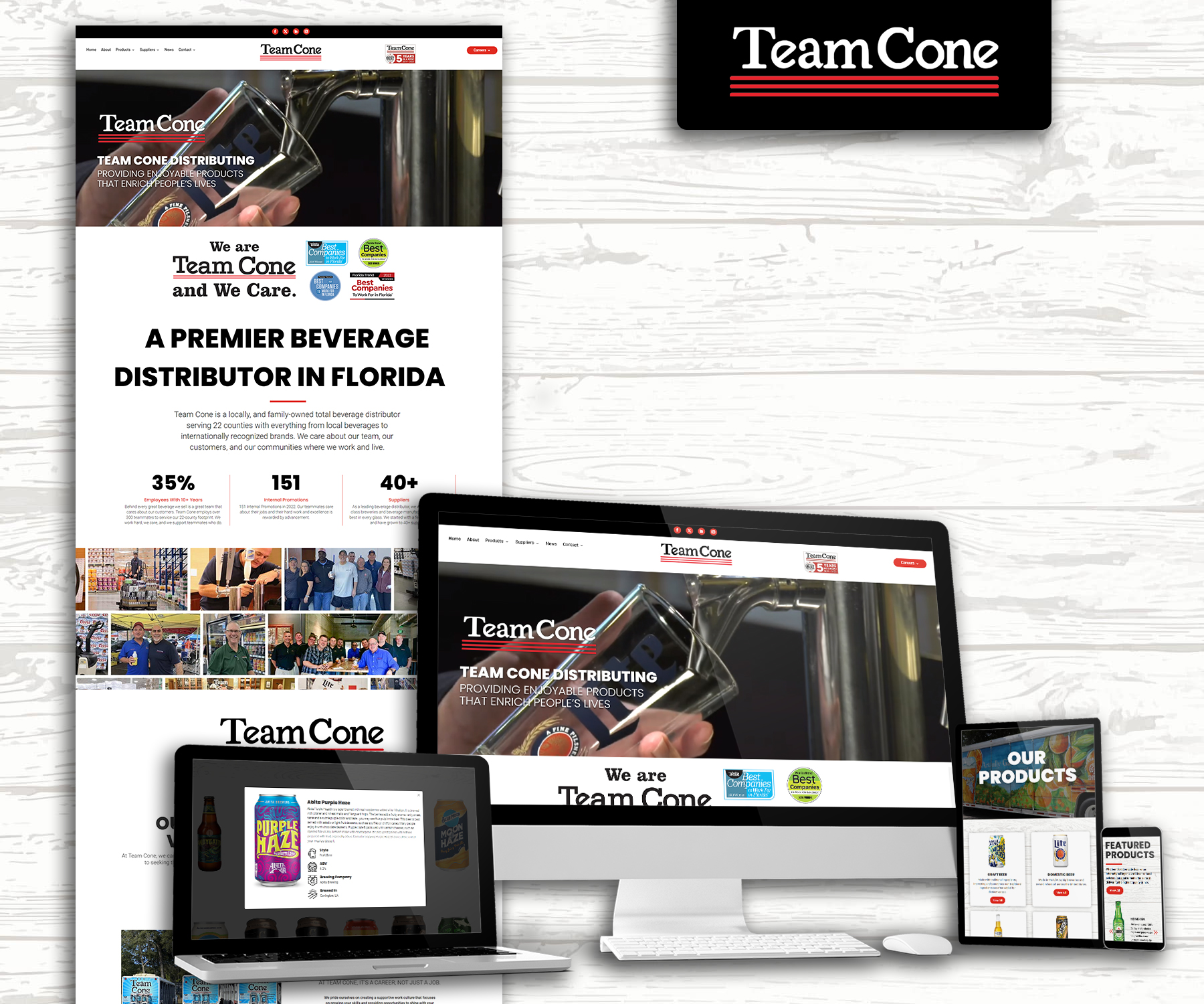 Team Cone B2B Website Design Examples<br />
